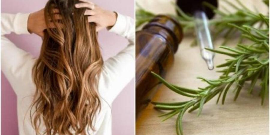 العشبة السحرية.. نبات سحري بقوة الصاروخ هيحققلك حلمك وموجود عندك في المطبخ