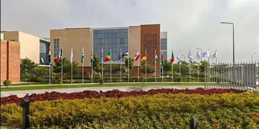 افتتاح جامعة سنجور.. مضاعفة القدرة الاستيعابية للجامعة وقبول دفعة جديدة سنويا