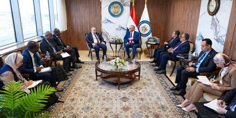 مصر تبحث سبل دفع التكامل الأفريقي في مجالات البترول والغاز