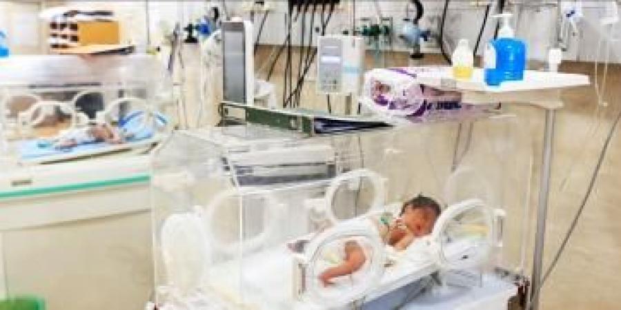 أخبار اليمن : تفشي سوء التغذية الحاد يهدد أطفال غزة