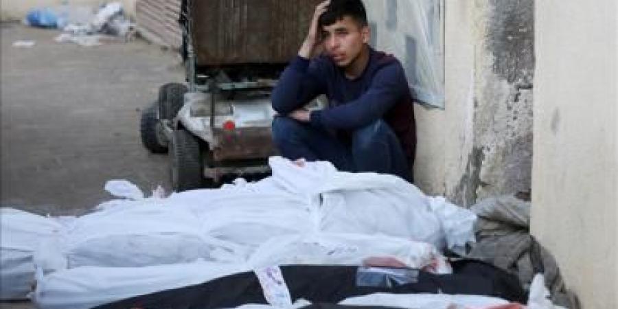 أخبار اليمن : 221 خرقاً إسرائيليا وأكثر من 100 شهيد في غزة