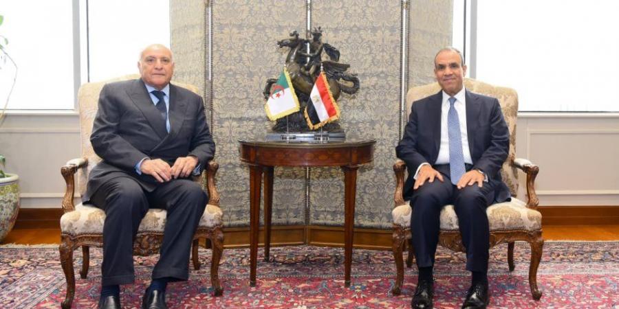 تحرك مصرى جزائرى تطورات بشأن ليبيا.. دعم للانتخابات ورفض التدخلات الخارجية
