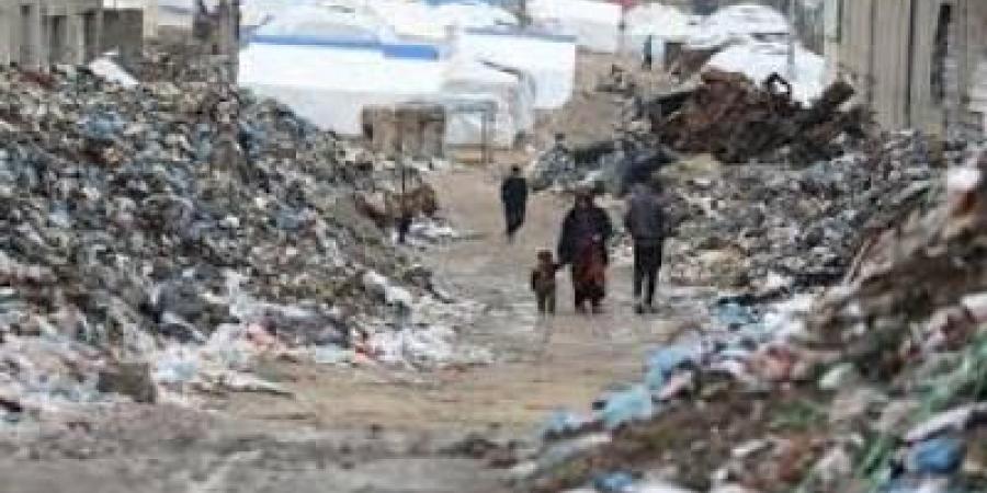 أخبار اليمن : "أونروا": تزايد انتشار القوارض والطفيليات في غزة