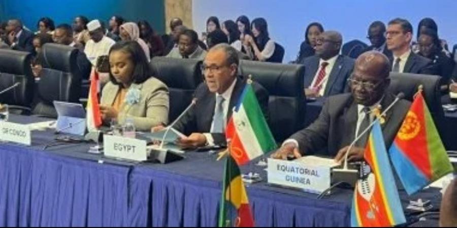 وزير الخارجية يستعرض المقاربة المصرية لتعزيز التعاون وتحقيق التنمية بأفريقيا