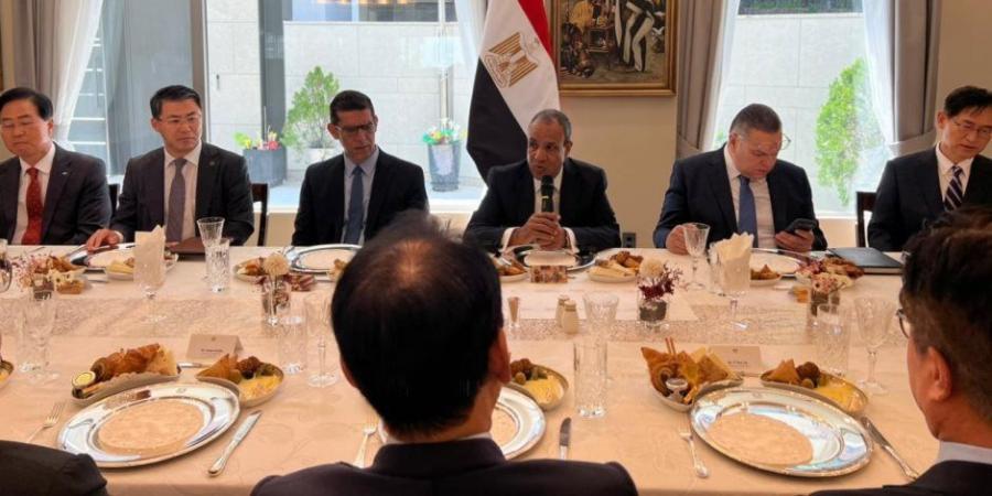 وزير الخارجية يلتقى ممثلى كبرى الشركات الكورية لبحث تعزيز الاستثمار فى مصر