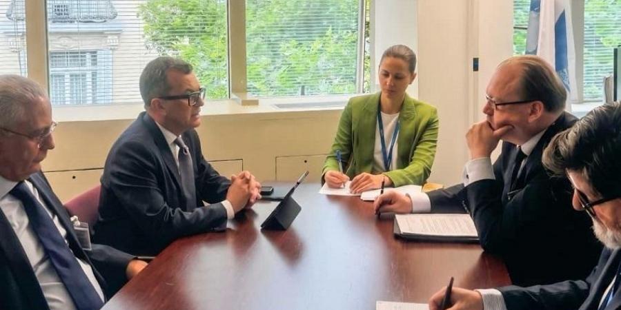 وزير التخطيط يبحث مع OECD إطلاق المرحلة الثانية من البرنامج القطري ونقل الخبرات لأفريقيا