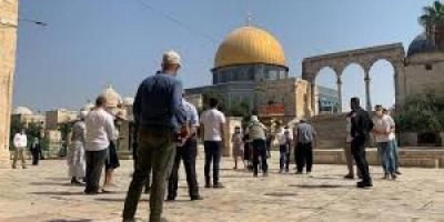 أخبار اليمن : 23 اقتحام صهيوني للمسجد الأقصى خلال شهر