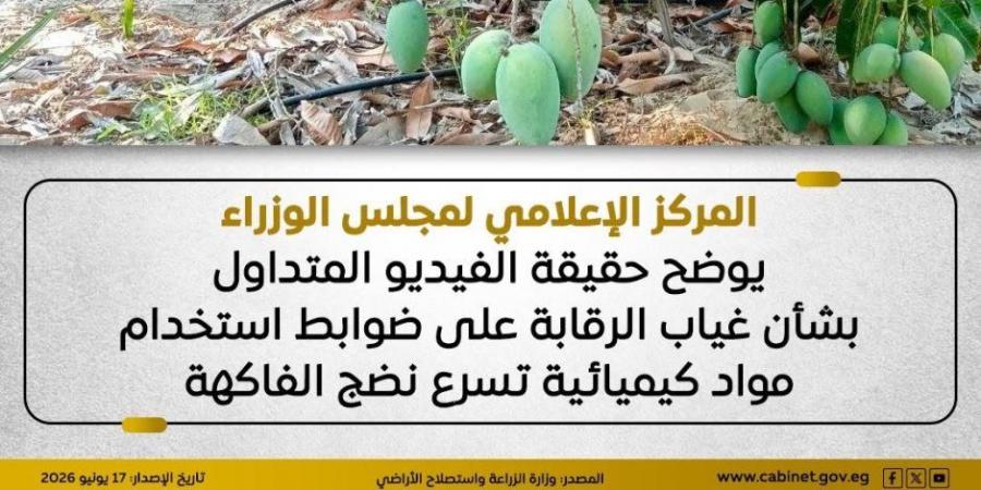 مجلس الوزراء يوضح حقيقة استخدام مواد كيميائية تسرع نضج الفاكهة