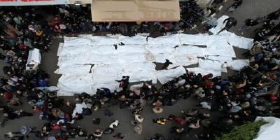 أخبار اليمن : ارتفاع عدد شهداء غزة إلى 73018