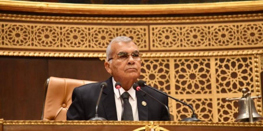 بدء جلسة مجلس الشيوخ لمناقشة تعميق الصناعة ودعم المشروعات الصغيرة