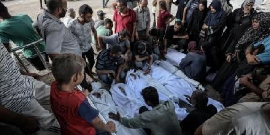 أخبار اليمن : 73043 شهيداً في غزة منذ 7 أكتوبر