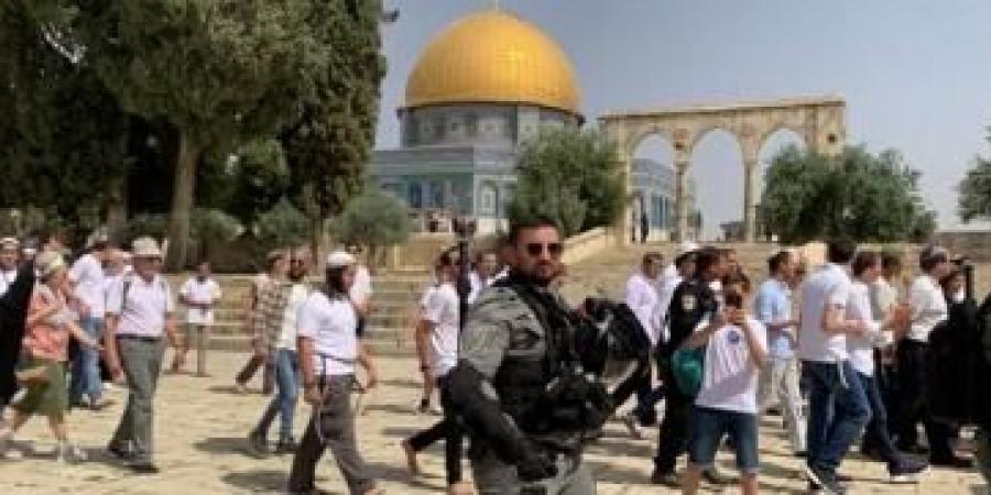 أخبار اليمن : 110 مستوطنين يقتحمون الأقصى